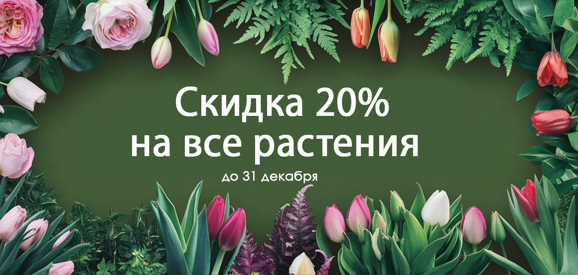 Скидка 20% на все растения