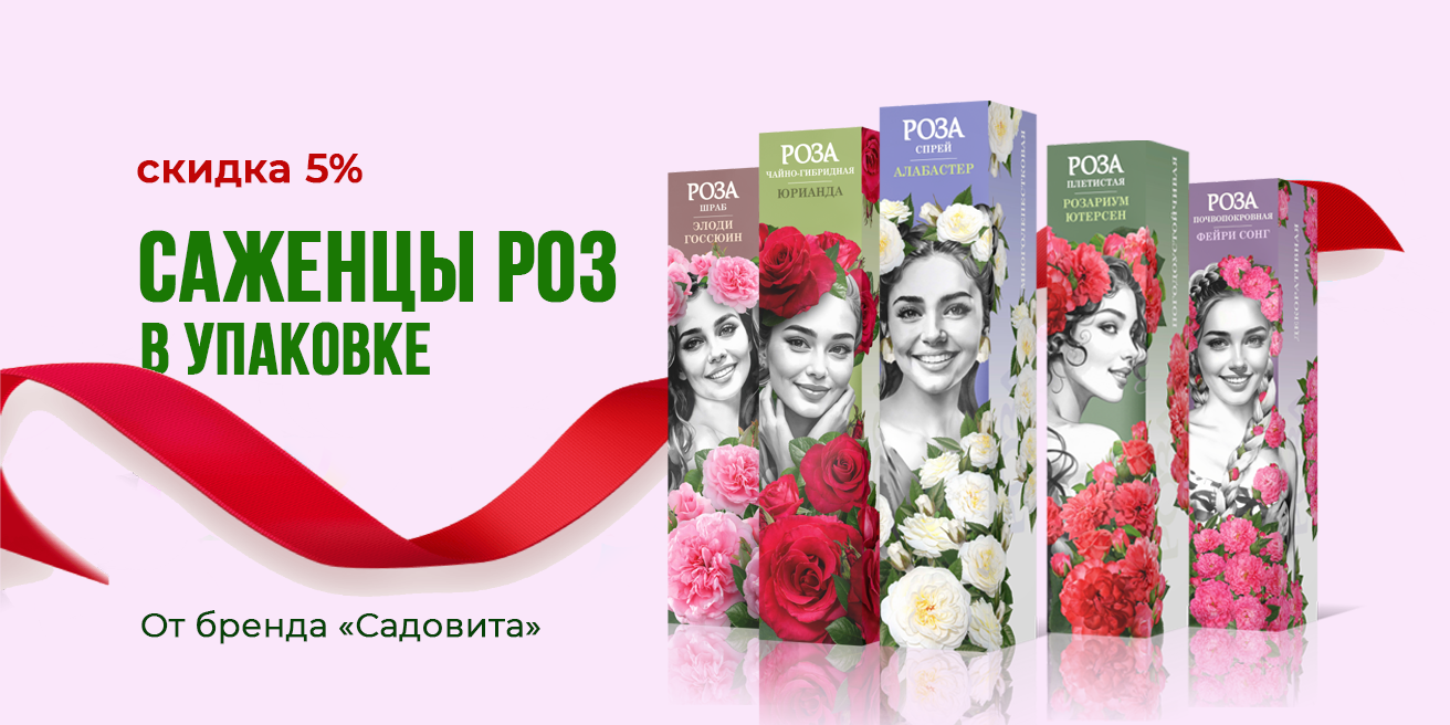 Скидка 5% на саженцы роз в упаковке