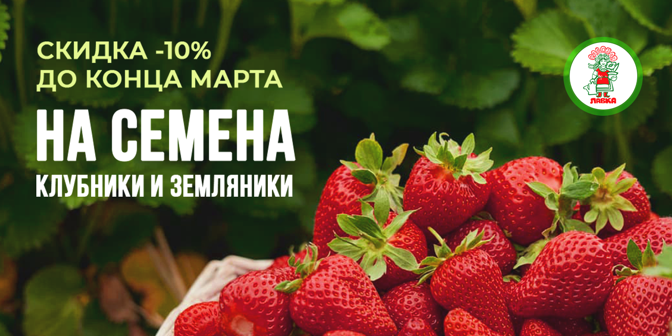 Скидка 10% до конца марта на семена клубники и земляники