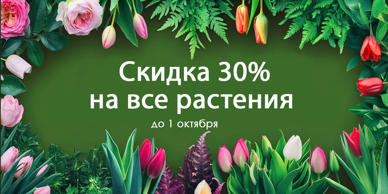 Скидка 30% до 1 октября