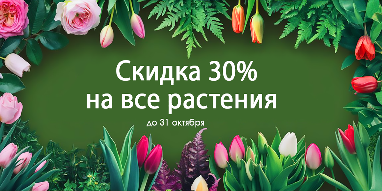 Скидка 30% до 31 октября