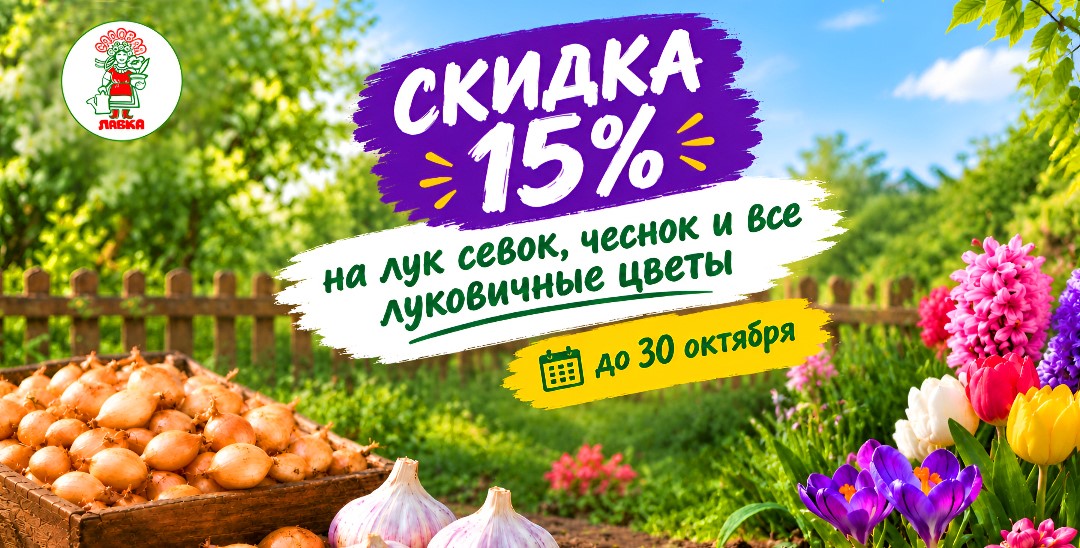 Скидка 15% на лук севок, чеснок и все луковичные цветы