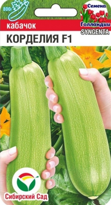 КАБАЧОК КОРДЕЛИЯ F1 3ШТ СИБИРСКИЙ САД