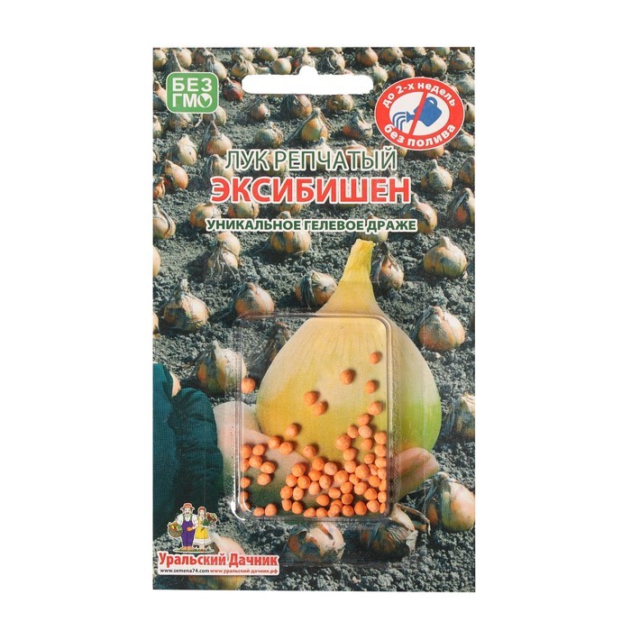 Лук репчатый Эксибишен УД