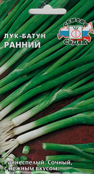 Лук батун Ранний Седек