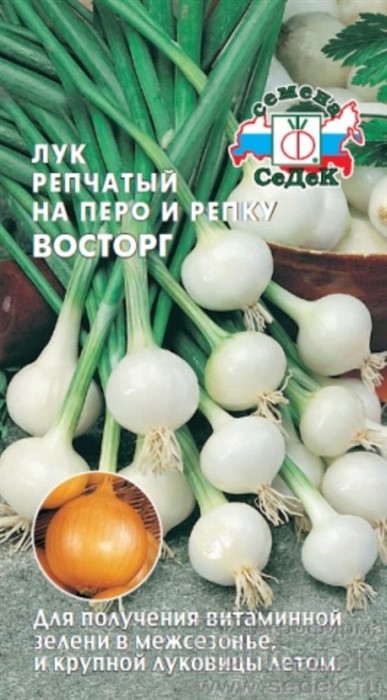 Лук репчатый Восторг Седек