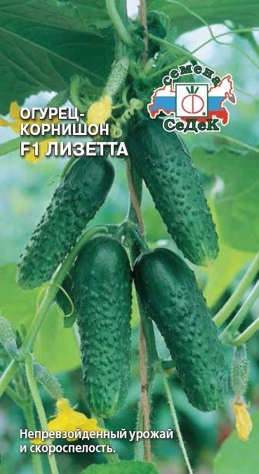 Огурец Лизетта  F1  0,2гр Седек