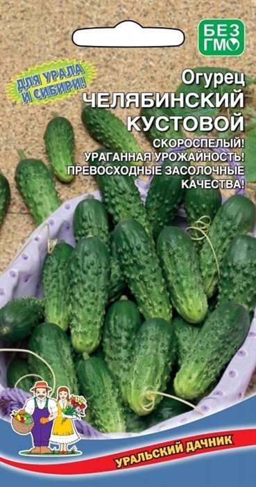 Огурец Челябинский Кустовой  Ур. дачник