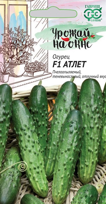 Огурец Атлет F1 Урожай на окне  10шт ГШ