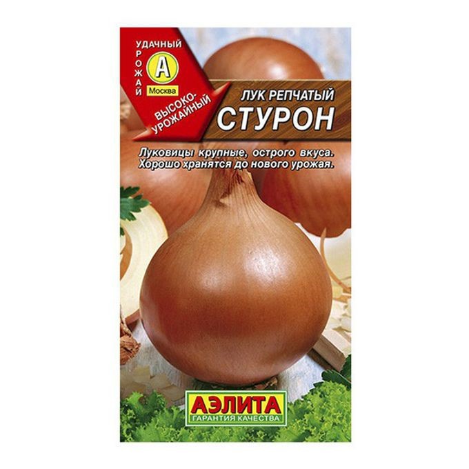 Лук репчатый Стурон Аэлита