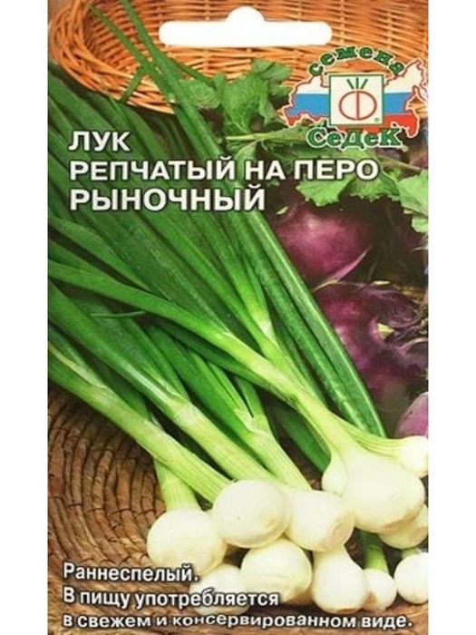 Лук репчатый на перо Рыночный Седек