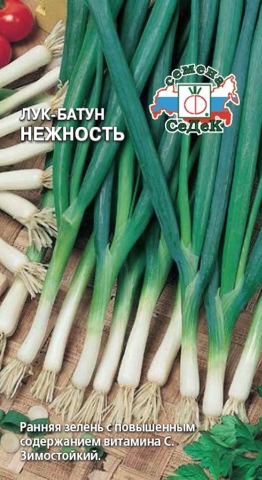 Лук Нежность Седек