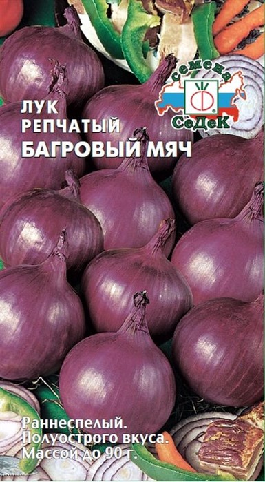 Лук репчатый Багровый мяч Седек