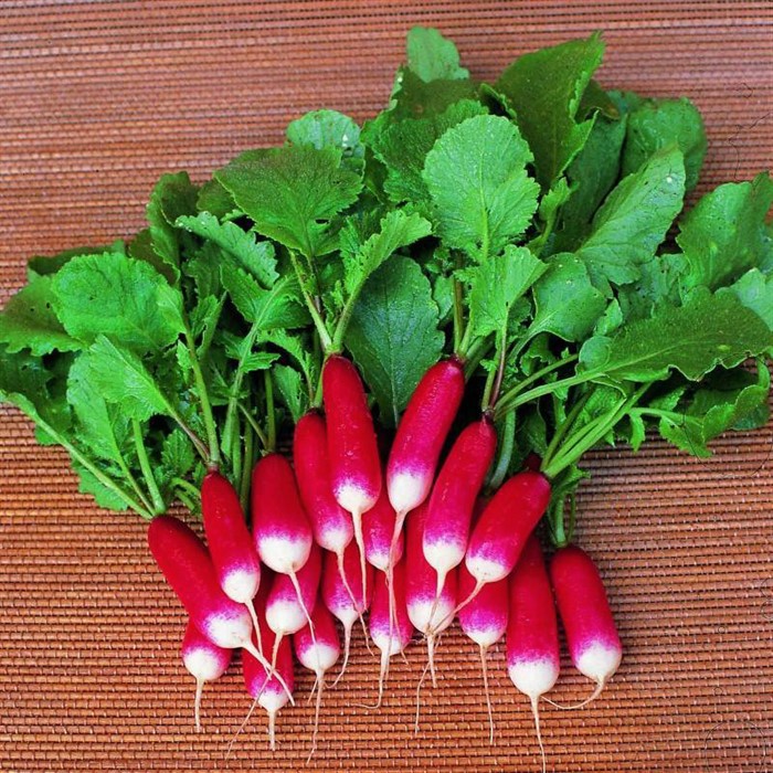 Редис Французский завтрак 6 г НК