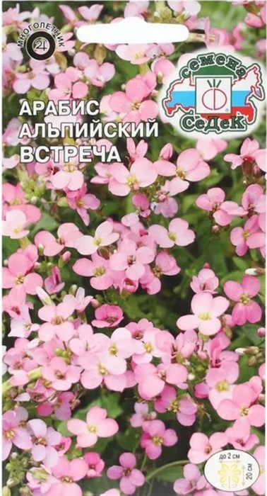 Арабис Встреча (альпийский розов) 0,1г Седек