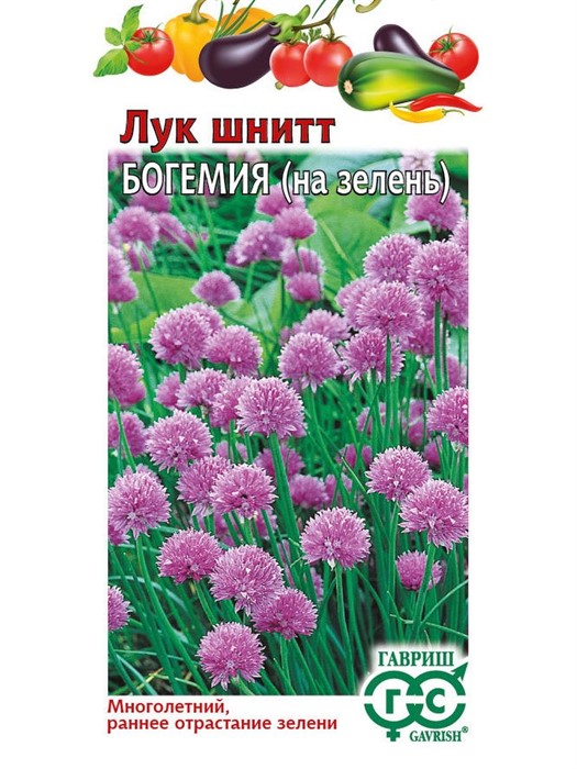 Лук шнитт Богемия ГШ