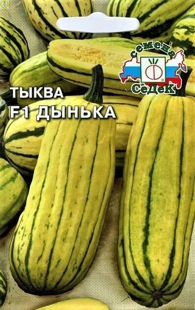 Тыква Дынька Седек