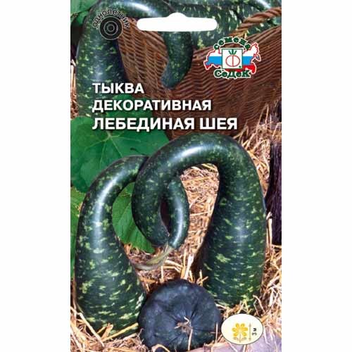Тыква Лебединая шея декоративная Седек