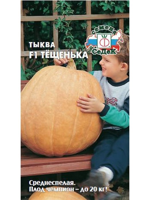 Тыква Тещенька F1Седек