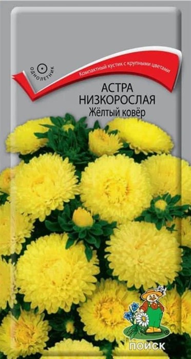 Астра низкорослая Желтый ковер 0,2гр. Поиск