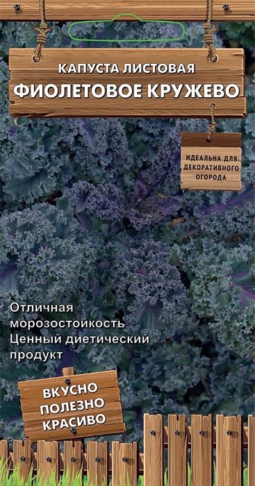 Капуста листовая Фиолетовое кружево серия Декоративный огород 0,1г ПОИСК