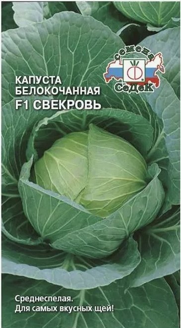 Капуста б к Свекровь F1 0,25гр Седек