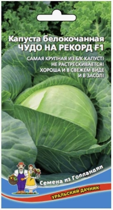 Капуста б к Чудо на рекорд 0,3гр Уральский Дачник
