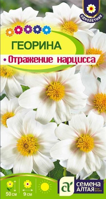 Георгина Отражение Нарцисса 0,2гр Семена Алтая