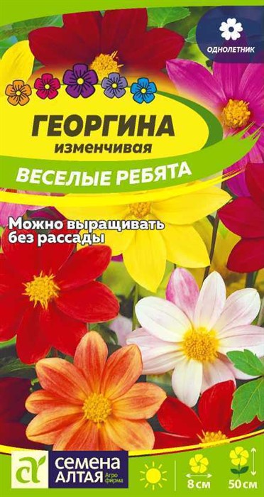 Георгина Веселые ребята 0,2гр Семена Алтая