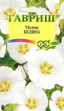 Малопа Беляна 0,1гр ГШ - фото 14141