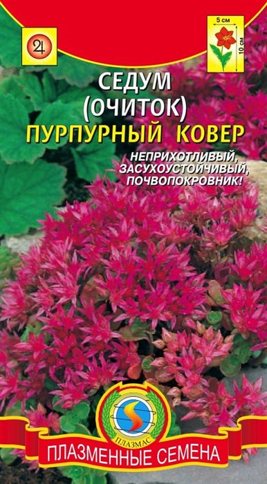 Седум (Очиток) Пурпурный ковер 100шт Плазмас - фото 14278