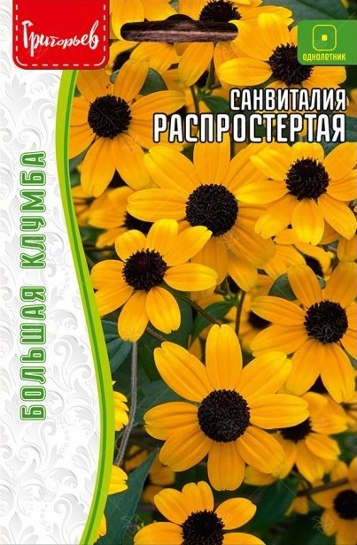 Санвиталия распростертая 0,07гр Григорьев - фото 14284