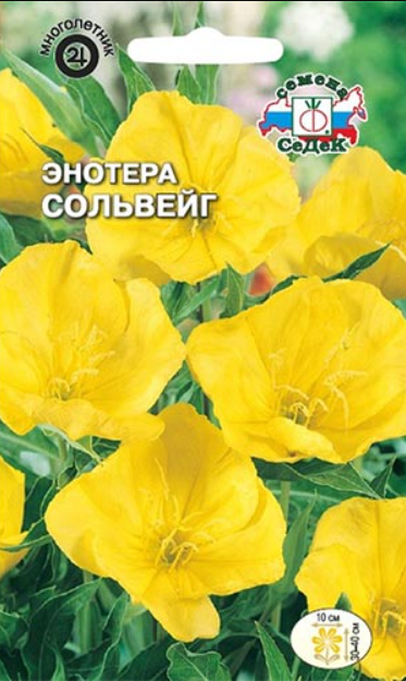 Энотера Сольвейг (желтая) 0,2гр Седек - фото 14481