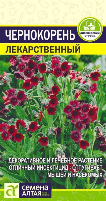 Чернокорень Лекарственный, 0,1 гр. (Семена Алтая)