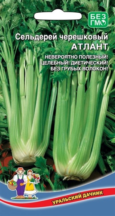 Сельдерей черешковый Атлант 0,3гр Уд.семена