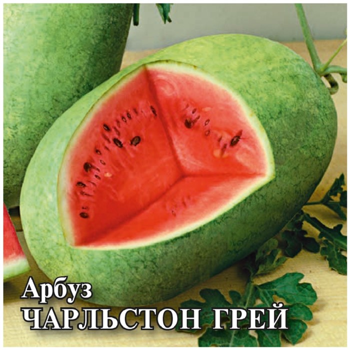 Арбуз "Чарльстон Грей",  1,0 г 5462682