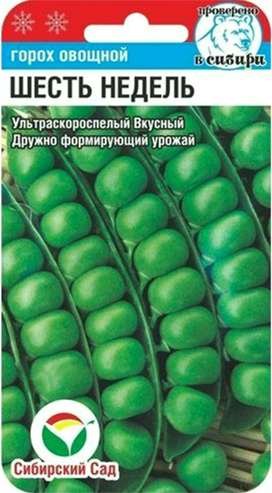 Горох 6 недель скороспелый  5гр СС