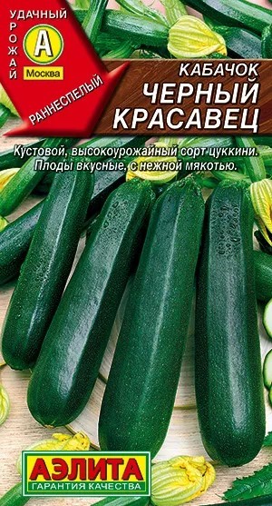 Кабачок Черный красавец 5шт