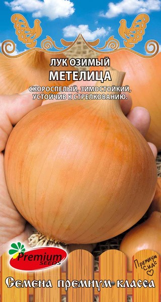 Лук озимый Метелица  1гр/10