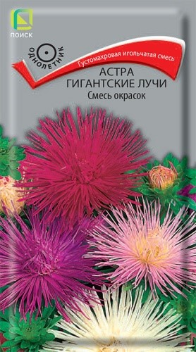 Астра Гигантские лучи Смесь окрасок 0,3гр Поиск