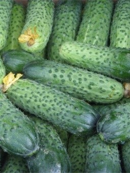 Огурец Герман F1 5шт ЧК