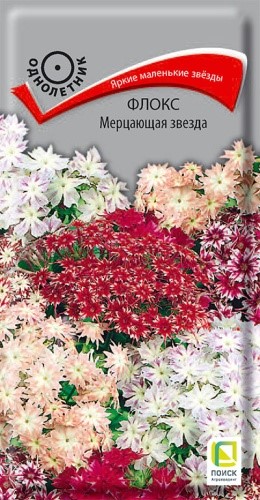 Флокс Мерцающая звезда 0,2гр Поиск