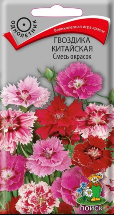 Гвоздика китайская Смесь окрасок  0,25гр ПЦ