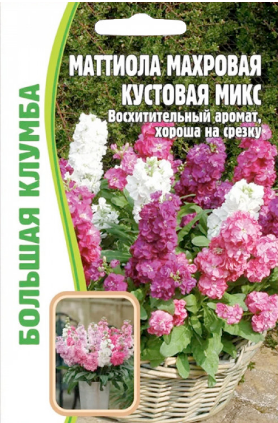 Маттиола махровая кустовая микс  0,1г ЧК