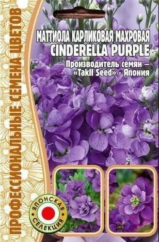 Маттиола Cinderella Purple карликовая махровая  5шт /5