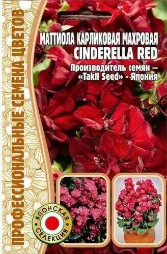 Маттиола Cinderella Red карликовая махровая  5шт ЧК