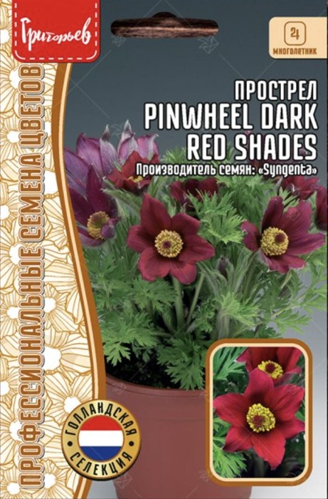 Прострел Pinwheel Dark Red Shades 3шт ЧК