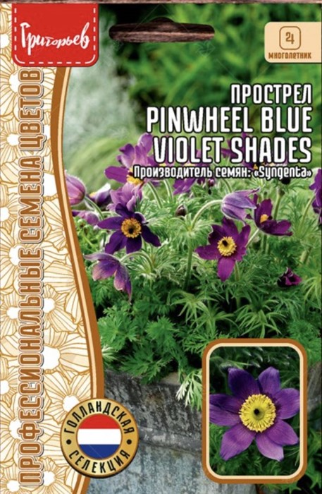 Прострел Pinwheel Blue Violet Shades 3шт ЧК