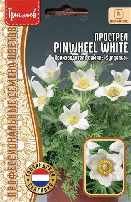 Прострел Pinwheel White 3шт ЧК