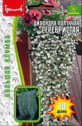 Дихондра Серебристая ползучая 10др ЧК